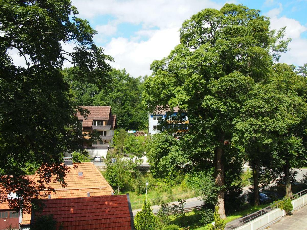 Apartment Harzgruen 2 Sankt Andreasberg Bagian luar foto